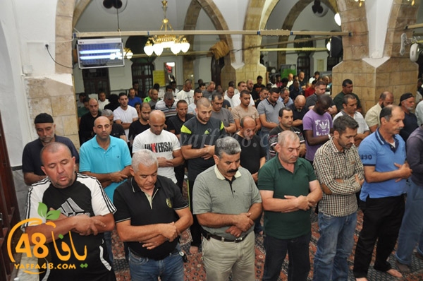 7san bek jsh (12).JPG